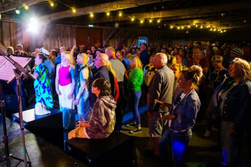 Autor: Liisi Laanemäe