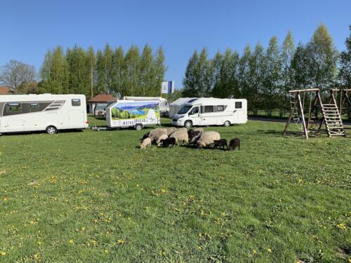 Autor: Sergei Vahnitski