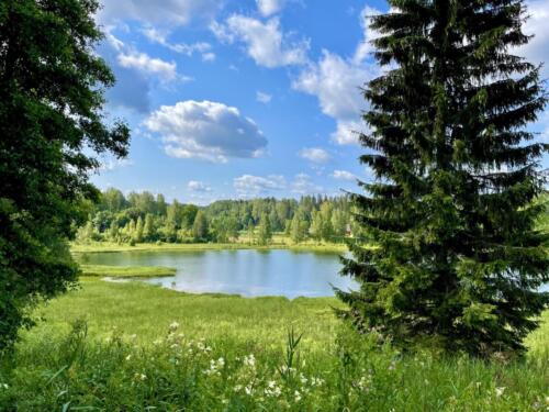 Autor: Sergei Vahnitski