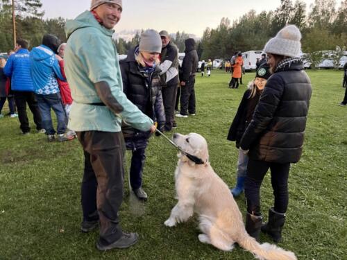 Autor: Sergei Vahnitski