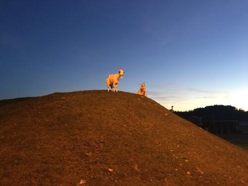 Autor: Sergei Vahnitski