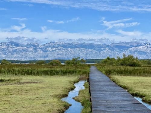 Autor: Sergei Vahnitski