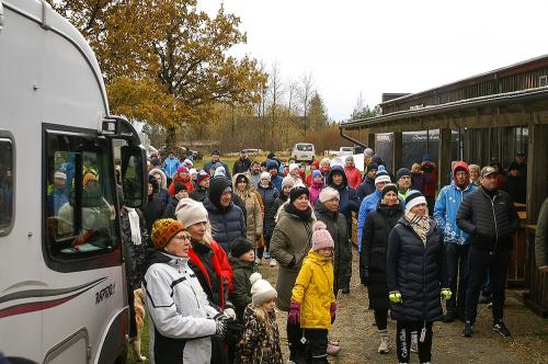 Autor: Liisi Laanemäe