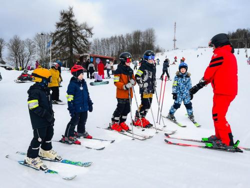 Autor: Liisi Laanemäe