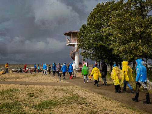 Autor: Liisi Laanemäe