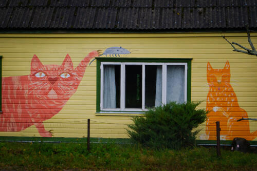 Autor: Liisi Laanemäe