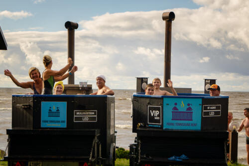 Autor: Liisi Laanemäe