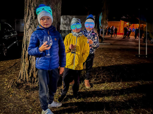 Autor: Liisi Laanemäe